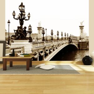 Fototapet - Alexander III Bridge, Paris 300x231 cm