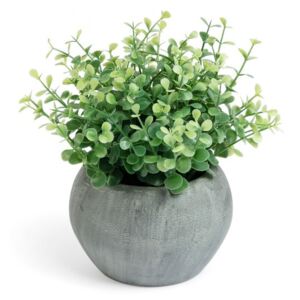 Planta artificiala cu ghiveci din ciment 19.1 cm Zelena Flower La Forma
