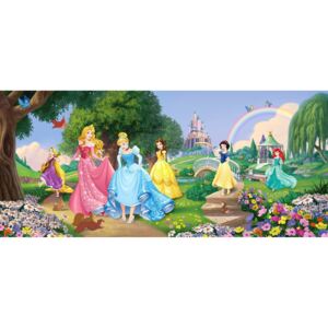 Buvu Fototapet vlies: Disney princess (panoramă) - 202x90 cm