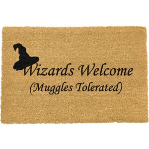 Covor intrare Artsy Doormats Wizards Welcome, 40 x 60 cm