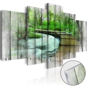Bimago Imagine pe sticlă acrilică - Forest of Secrets 100x50 cm