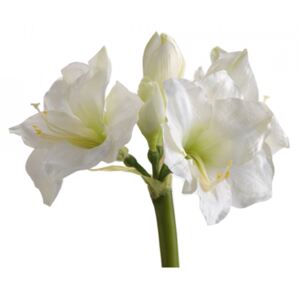Floare artificiala din poliester 68 cm Amaryllis Royal White Lou de Castellane