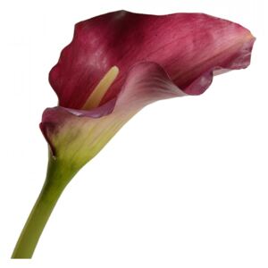Floare artificiala rosu burgund din fier si PVC 71 cm Arum Italicum Lou de Castellane