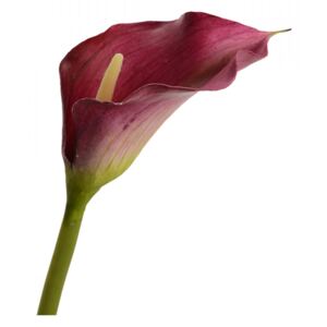 Floare artificiala rosu burgund din fier si PVC 55 cm Arum Italicum Lou de Castellane