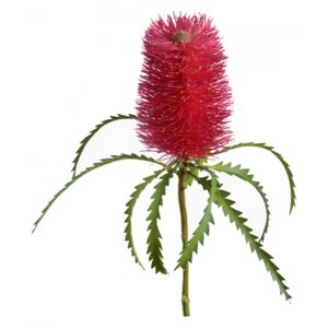 Floare artificiala rosie din plastic si fier 76 cm Banksia Baxteri Lou de Castellane
