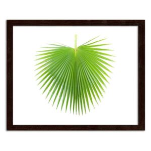 CARO Imagine în cadru - Green Palm Leaf 40x30 cm Maro