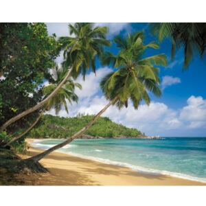 Fototapet Plaja Seychelles cu palmieri