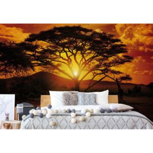 Fototapet - African Sunrise Vliesová tapeta - 368x254 cm