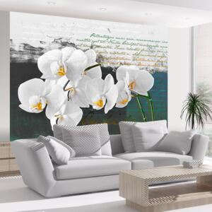 Fototapet - Orchid - poet's inspiration 300x231 cm
