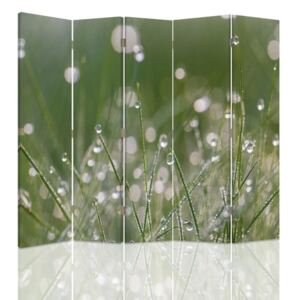 CARO Paravan - Dew Drops On The Grass | cinci păr?i | reversibil 180x180 cm