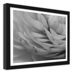 CARO Imagine în cadru - Jaskier Płatki Kwiatu 70x50 cm Negru