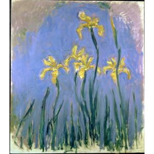 Yellow Irises; Les Iris Jaunes, c.1918-1925 Reproducere, Monet, Claude