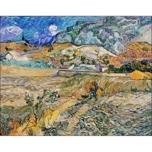 Van Gogh - Paesaggio a San Remy Reproducere, Vincent van Gogh, (80 x 60 cm)