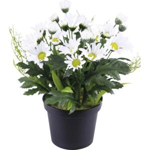 Floare artificiala Margarete in ghiveci H 20 cm alb