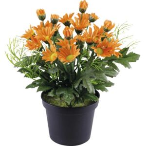 Floare artificiala Margarete in ghiveci H 20 cm portocaliu