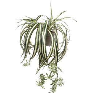 Planta artificiala, Chlorophytum, verde