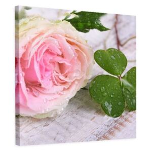 CARO Tablou pe pânză - Rose And Clover 20x20 cm