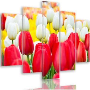 CARO Tablou pe pânză - White And Red Tulips 100x70 cm