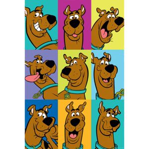 Scooby Doo - The Many Faces of Scooby Doo Poster, (61 x 91,5 cm)