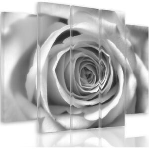 CARO Tablou pe pânză - Rose Flower 100x70 cm