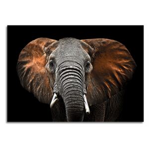 Tablou pe sticlă - Styler Elephant 100x70 cm