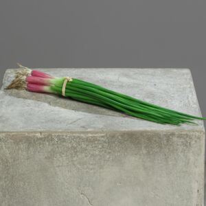 Ceapa verde decorativa artificiala - 30 cm
