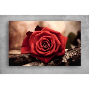 Tablouri Canvas Flori - Trandafirul rosu aprins