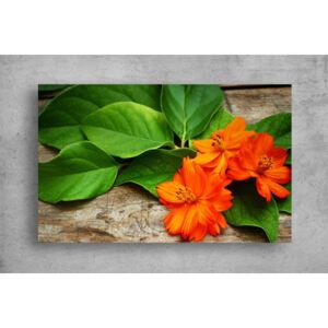 Tablouri Canvas Flori - Flori portocalii cu frunze