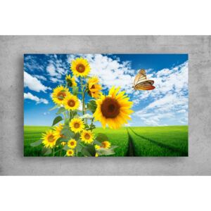 Tablouri Canvas Flori - Fluture si floarea soarelui