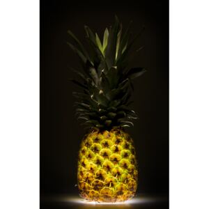 Fotografii artistice Pineapple, Wieteke de Kogel