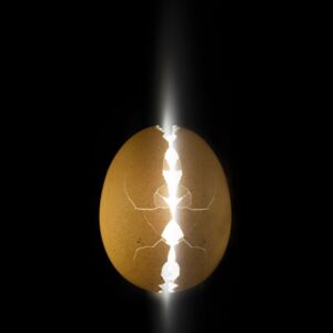 Fotografii artistice Alien egg, Wieteke de Kogel