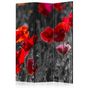 Paravan - Red Poppies 135x172 cm
