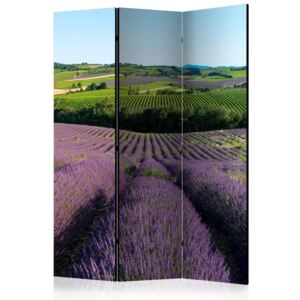 Paravan - Lavender fields 135x172 cm
