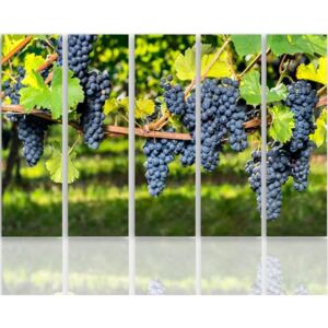 CARO Tablou pe pânză - Black Grapes 100x70 cm