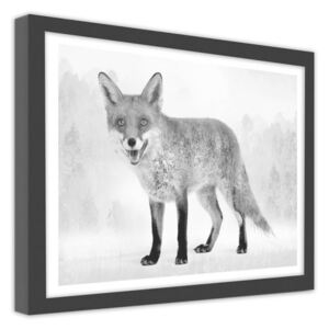 CARO Imagine în cadru - Gray Fox 2 50x40 cm Negru