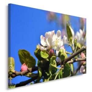 CARO Tablou pe pânză - Tree Flowers 6 40x30 cm