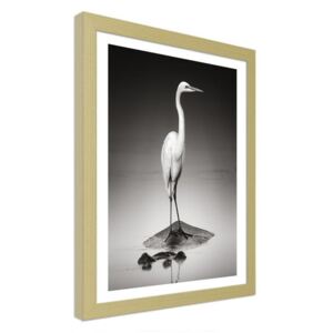 CARO Imagine în cadru - Heron On A Hippopotamus 30x40 cm Natural