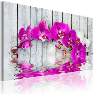 Tablou - harmonie: orchidea 60x40 cm
