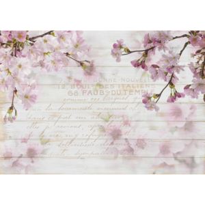 Buvu Fototapet vlies: flori de cireș (1) - 184x254 cm