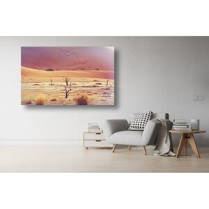 Tablou Canvas - Desertul si copacii