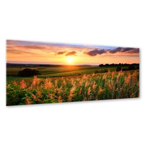 Styler Tablou pe sticlă - Sunset Meadow 125x50 cm