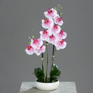Orhidee artificiala alb-roz in ghiveci ceramic - 36 cm