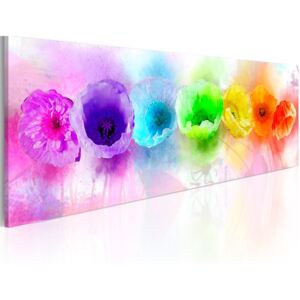 Tablou - Rainbow-hued poppies 120x40 cm