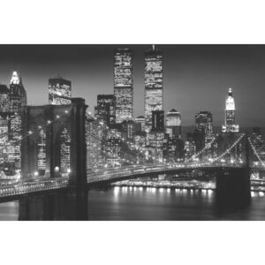 Poster Manhattan - night, (91.5 x 61 cm)