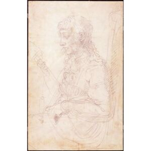 W.40 Sketch of a female figure Reproducere, Michelangelo Buonarroti