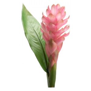 Floare artificiala roz din plastic 98 cm Ginger Lou de Castellane