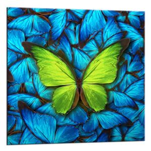 Styler Tablou pe sticlă - Blue Butterfly | Dimensiuni: 20x20 cm