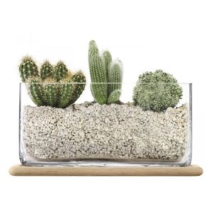 Ghiveci dreptunghiular din sticlă 19,5 cm, Plant LSA, Handmade
