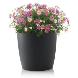 Ghiveci de flori cu roți Gardenico Ella Twist'n'Roll Smart System, ø 29 cm, gri antracit