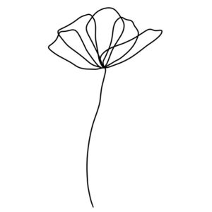 Ilustrare Flower line 2, Veronika Boulová